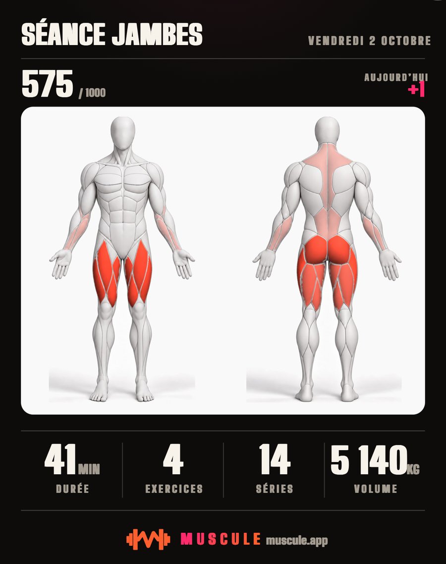 La même séance jambes sur le corps d'un homme : les cuisses et les fessiers en rouge foncé.